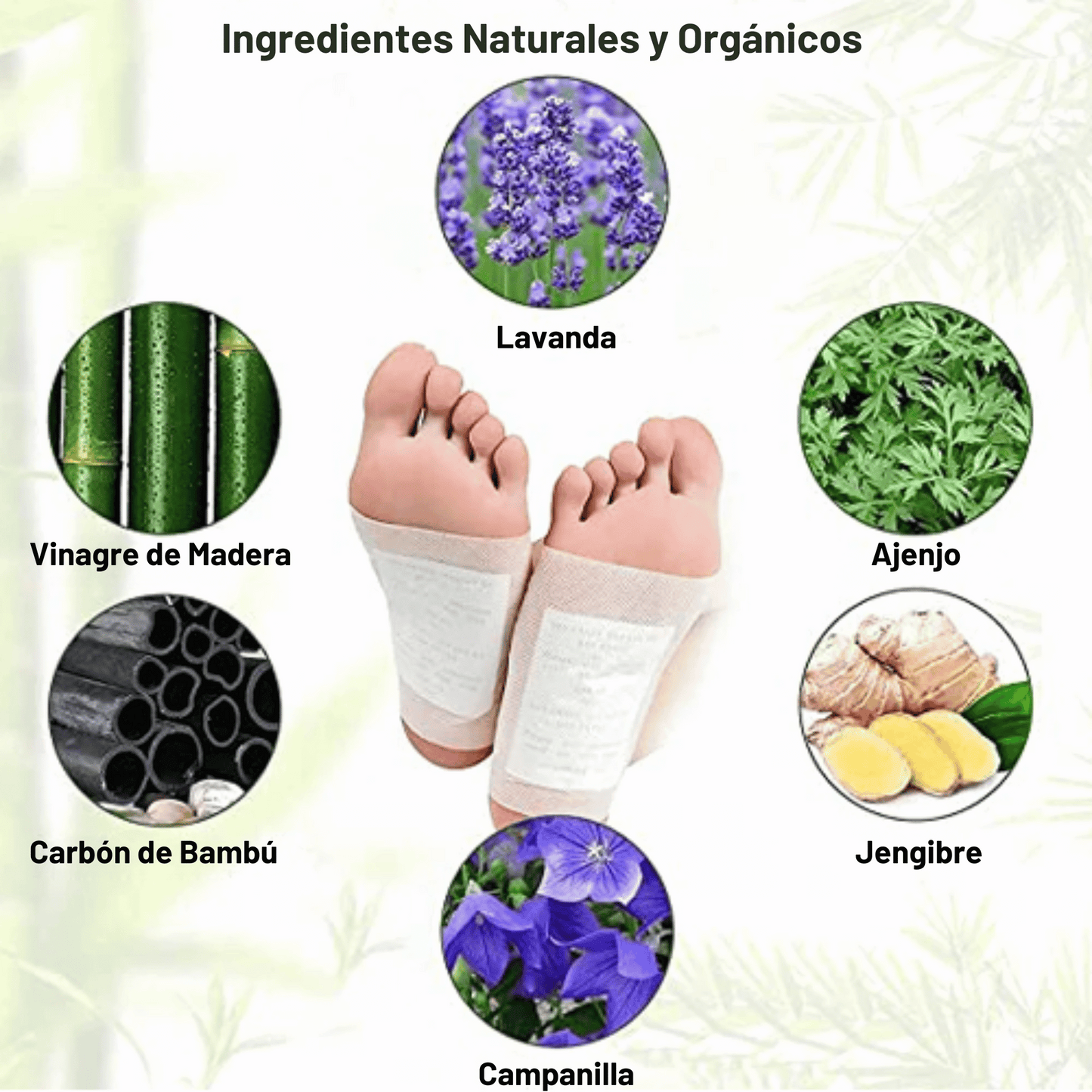 ¡NUEVOS PARCHES DETOX KINOKI!